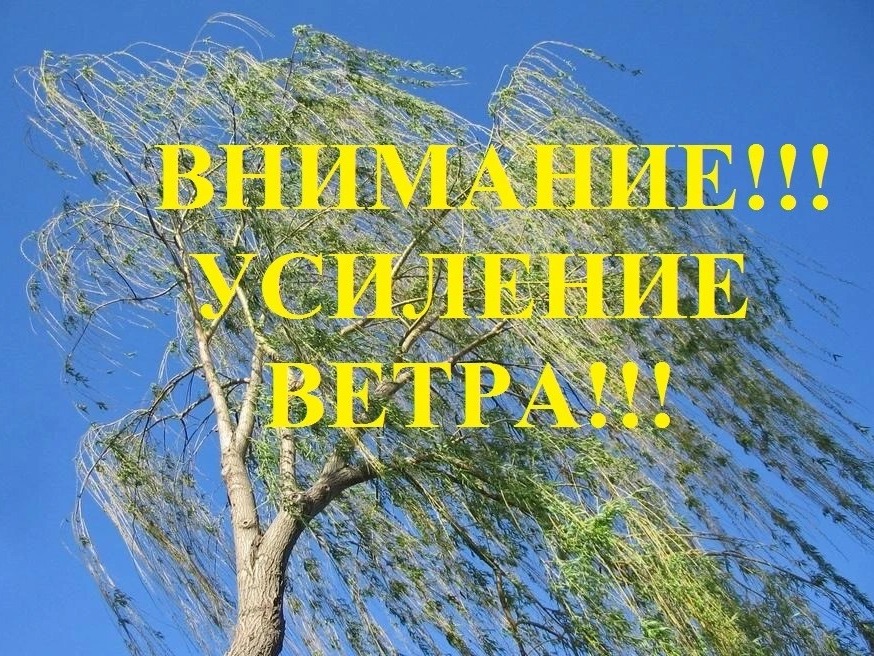 Штормовое предупреждение.