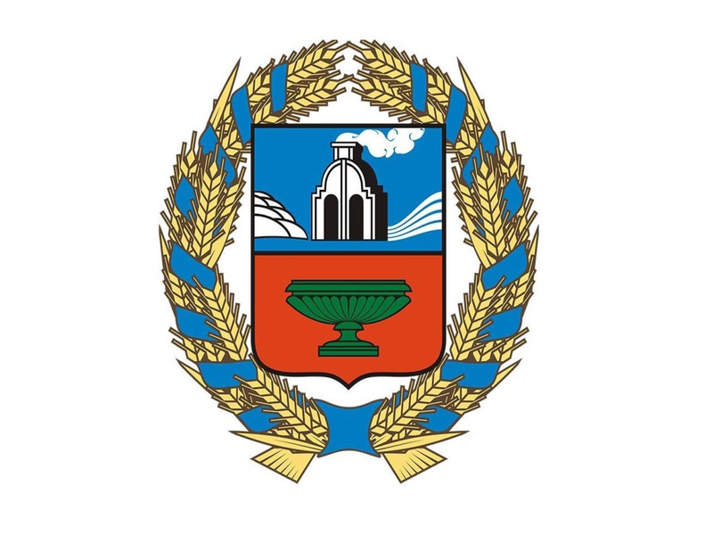 Начался прием заявок на конкурс по формированию Молодежного правительства Алтайского края.